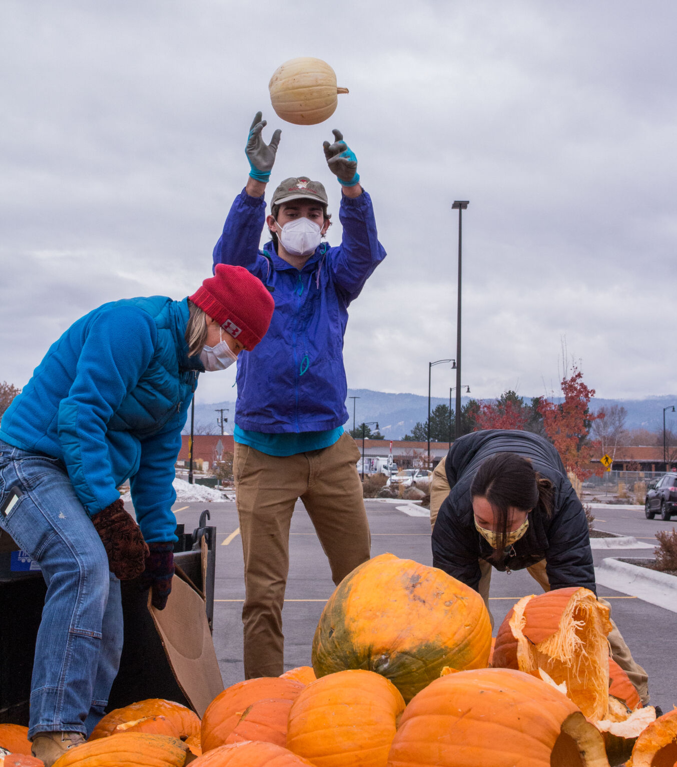 Pumpkin Re-harvest 05